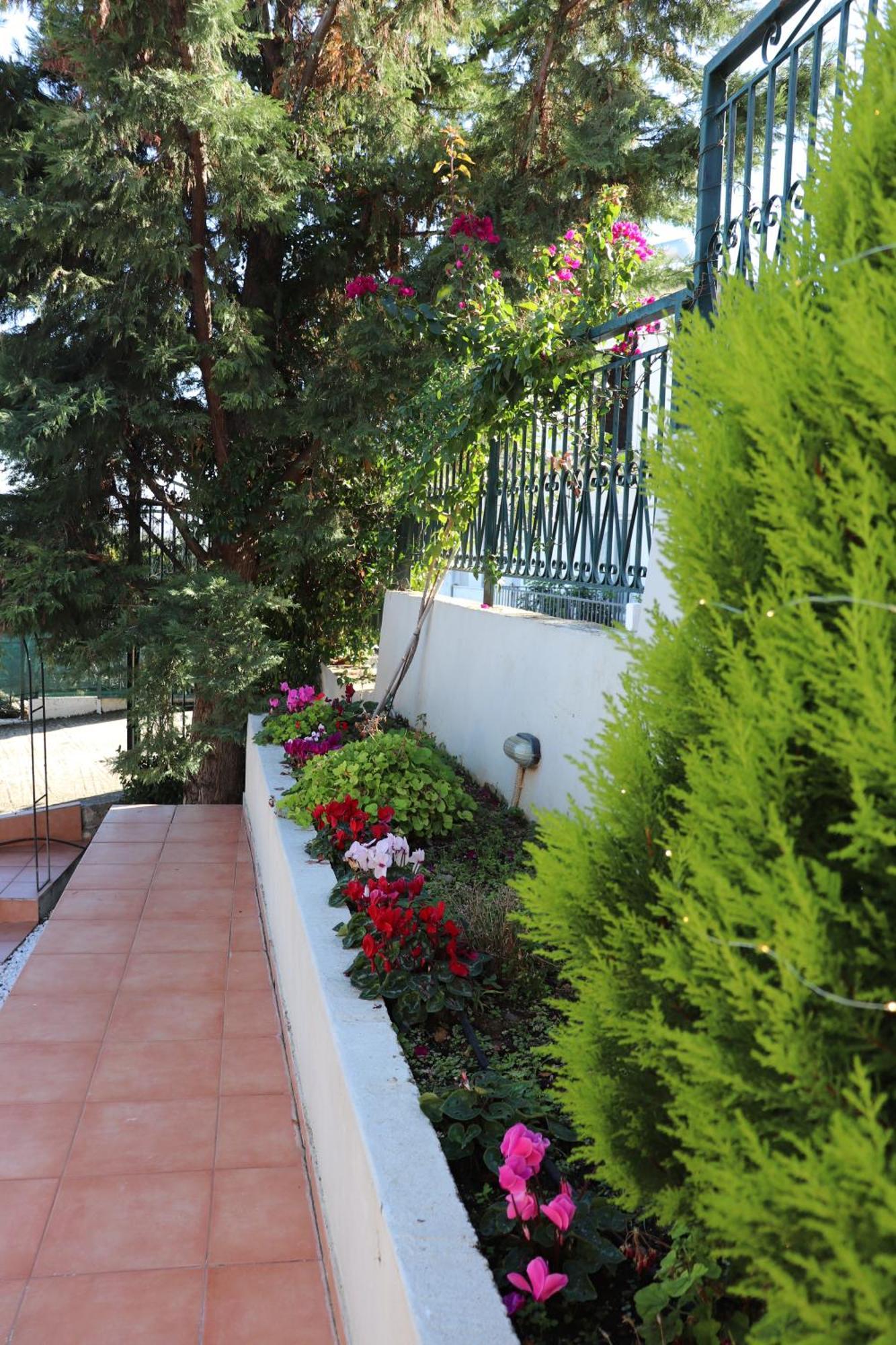 Maria Papada'S Traditional Village House Kondostavlos Luaran gambar